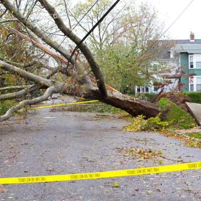 downed tree Electrical technician testing a new panel.