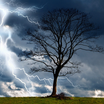 tree lightning